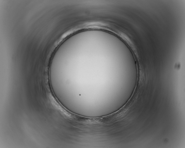 X0000115441384200911181513