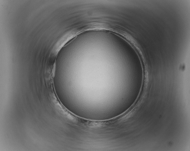 X0000115441385200911181513