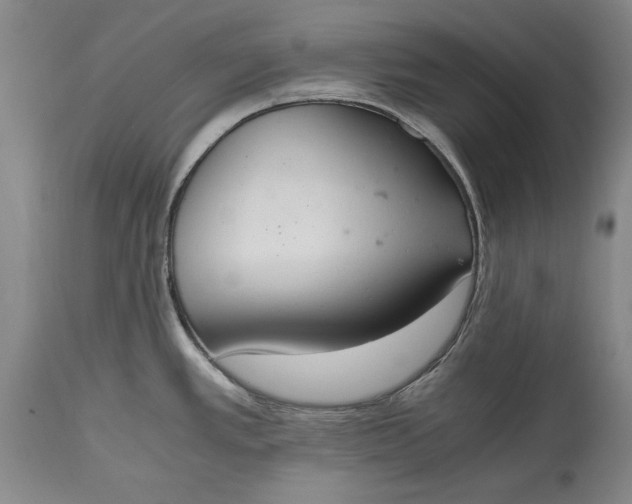 X0000115441389200911181513