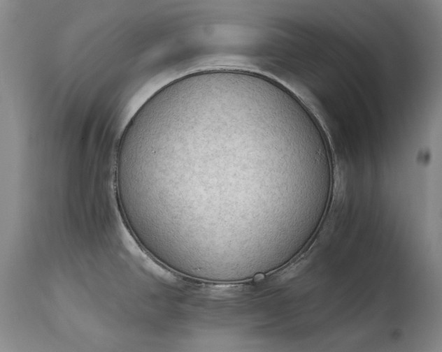 X0000115441390200911181513
