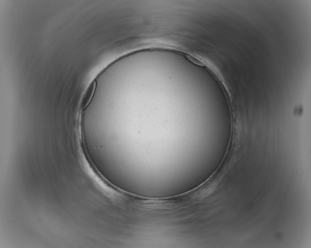 X0000115441391200911181513