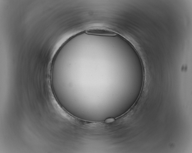 X0000115441392200911181513