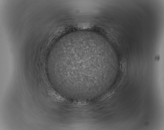X0000115441393200911181512