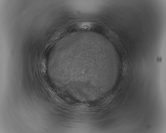X0000115441394200911181512