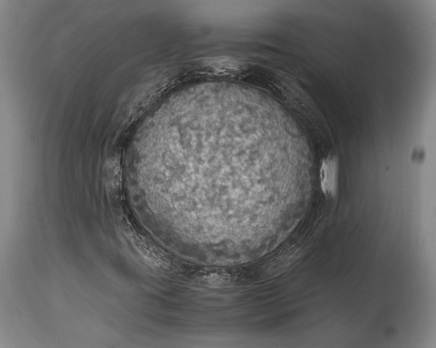 X0000115441395200911181512