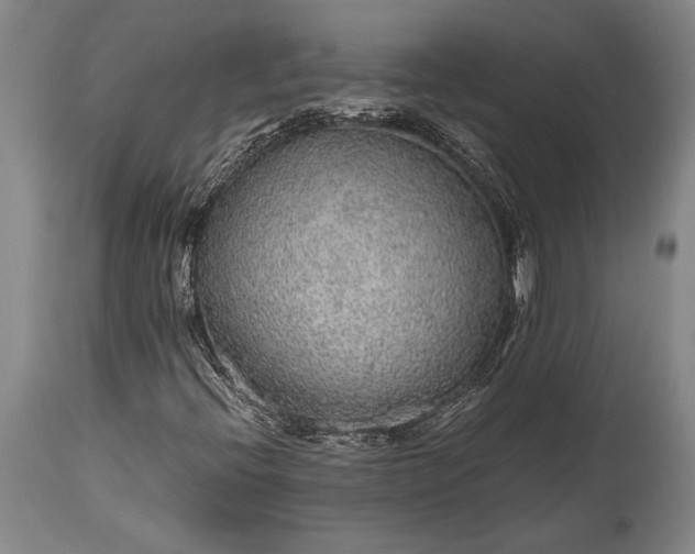 X0000115441396200911181512