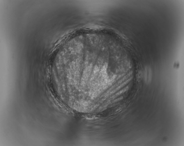 X0000115441397200911181513