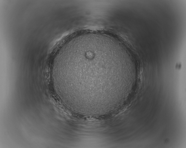 X0000115441398200911181513