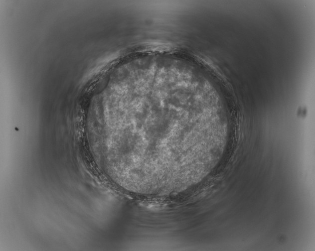 X0000115441399200911181513