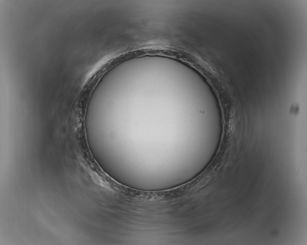 X0000115441400200911181513
