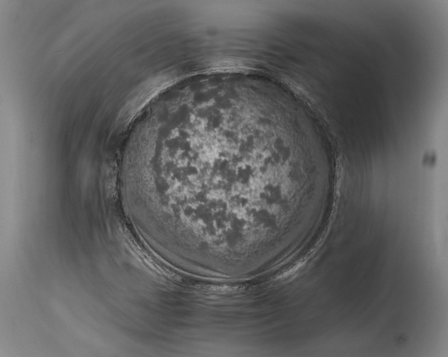 X0000115441401200911181513