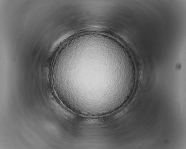 X0000115441402200911181513