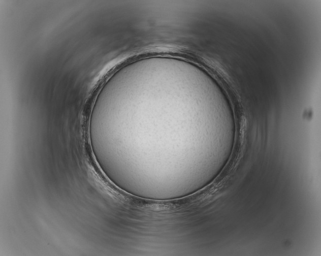 X0000115441404200911181513