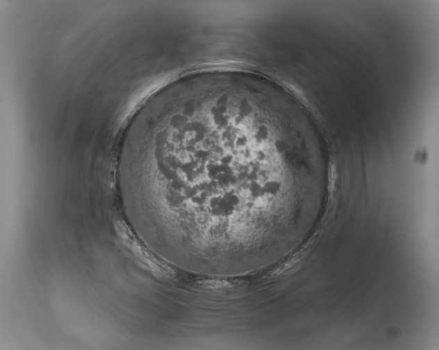 X0000115441405200911181513