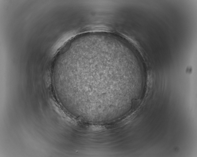 X0000115441407200911181513