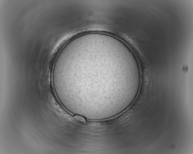 X0000115441408200911181513