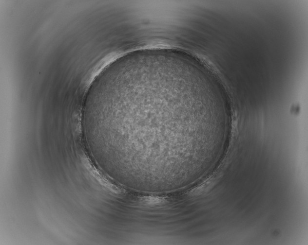 X0000115441409200911181513