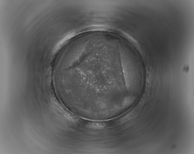 X0000115441411200911181513