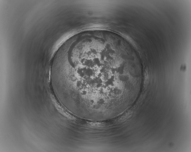 X0000115441413200911181513