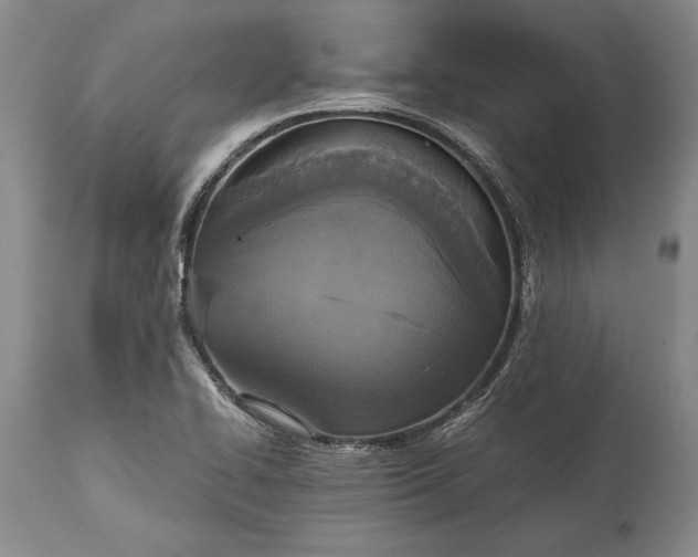 X0000115441414200911181513