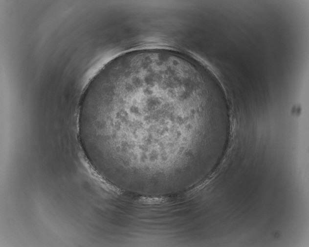 X0000115441415200911181513