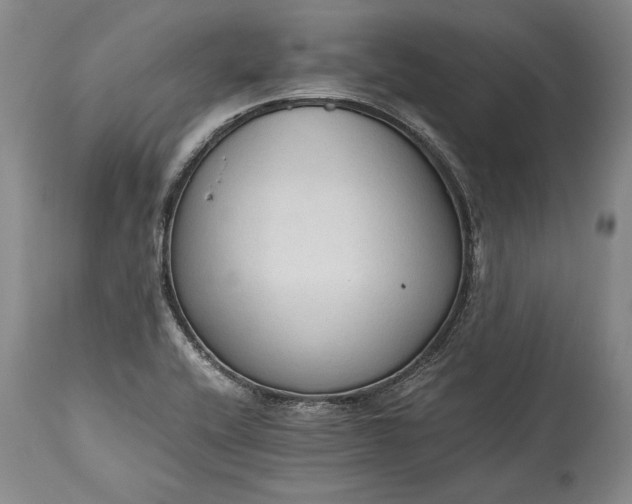 X0000115441416200911181513
