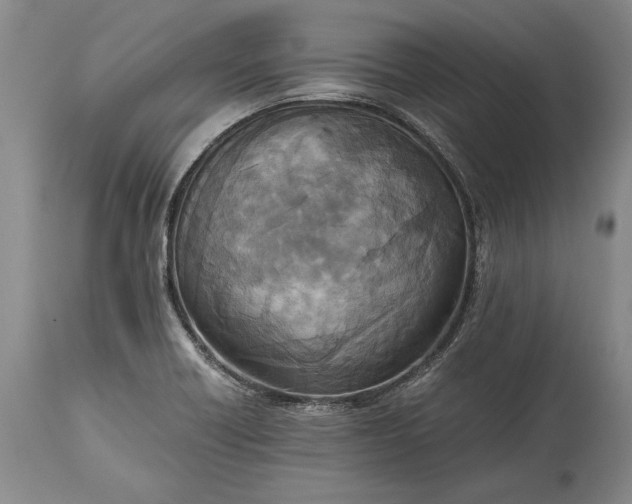 X0000115441418200911181513