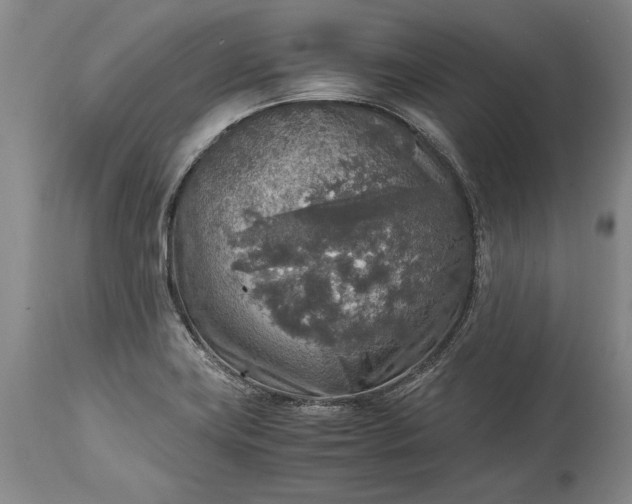 X0000115441419200911181513