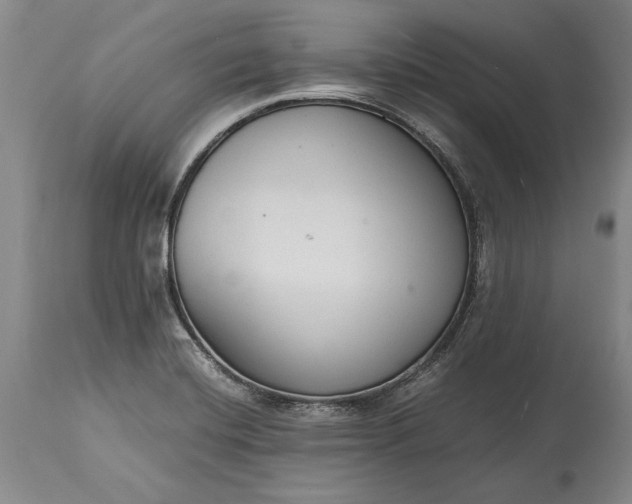 X0000115441420200911181513