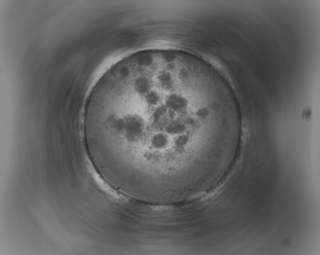 X0000115441421200911181513