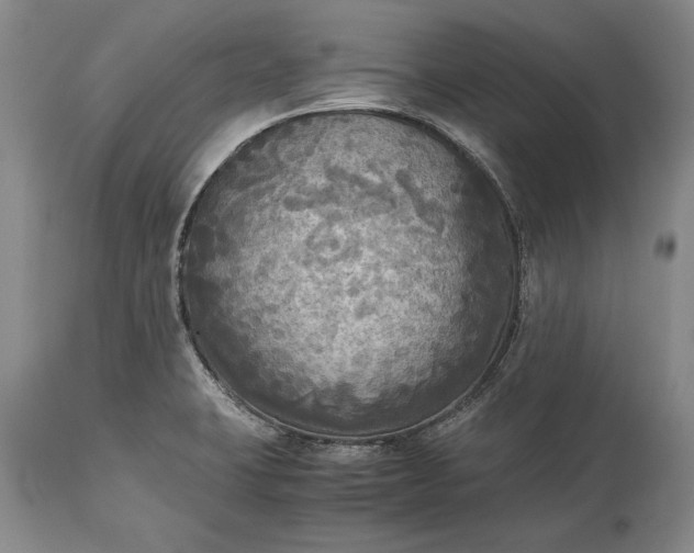 X0000115441423200911181513
