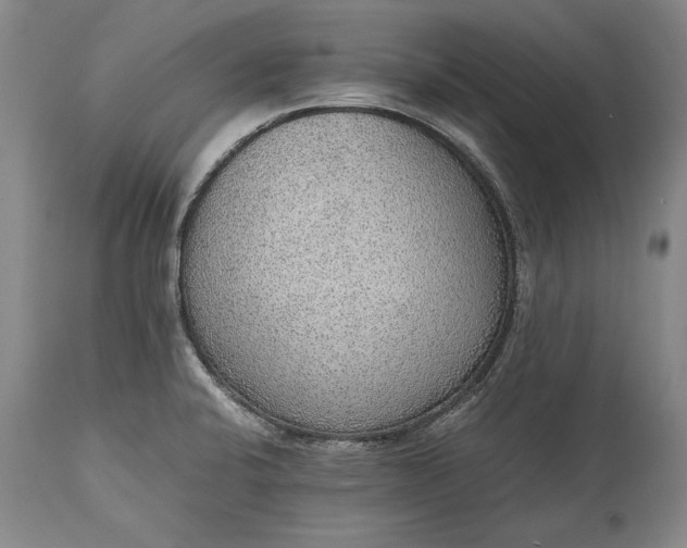 X0000115441424200911181513