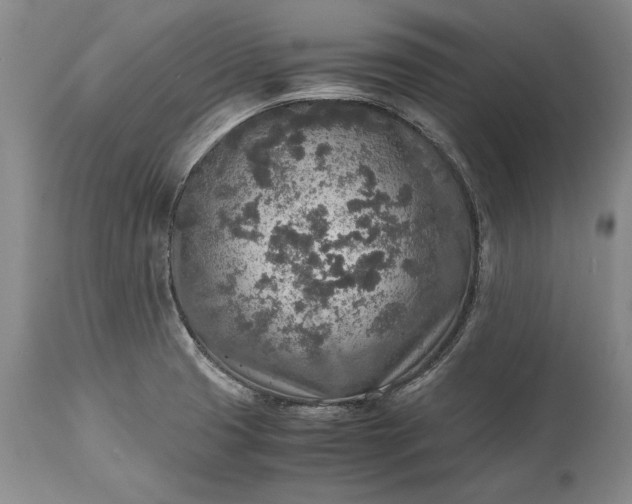 X0000115441425200911181513