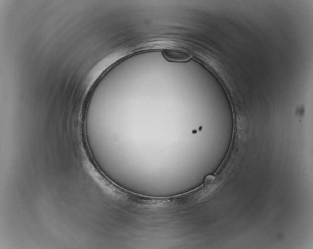 X0000115441426200911181513