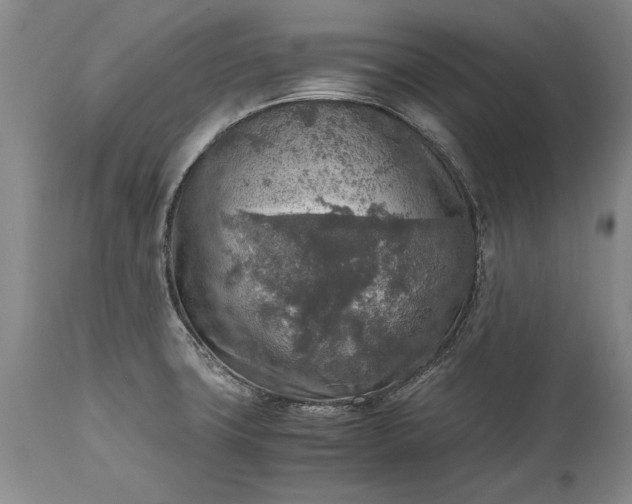 X0000115441427200911181513