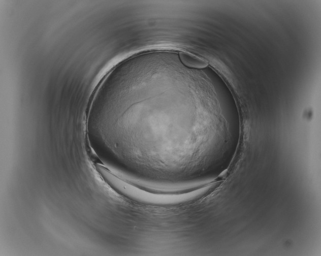 X0000115441428200911181513
