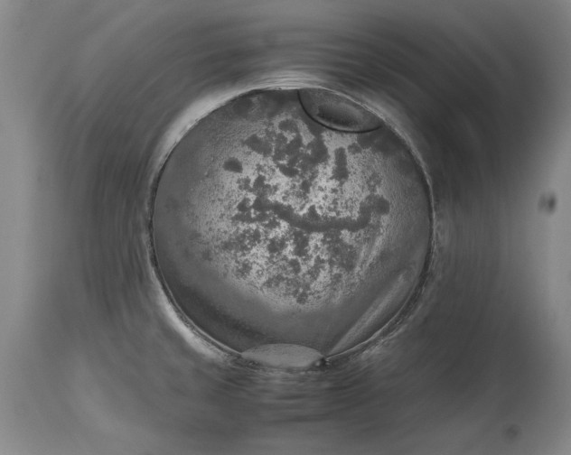 X0000115441429200911181513