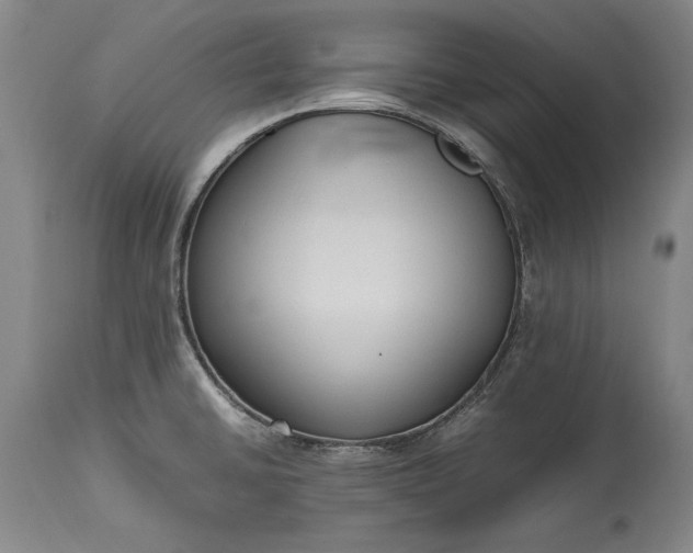 X0000115441430200911181513