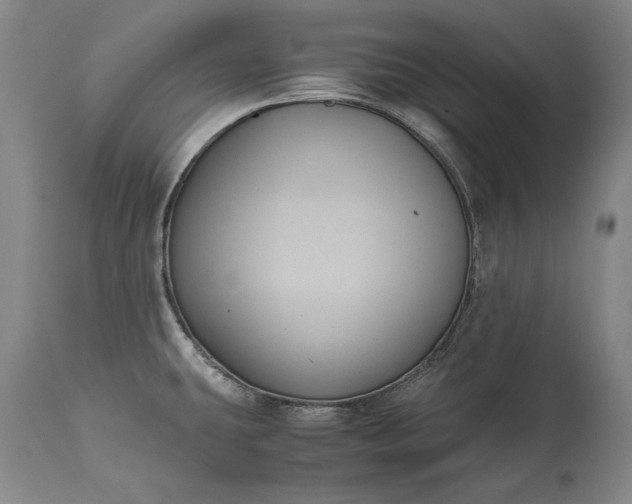 X0000115441431200911181513