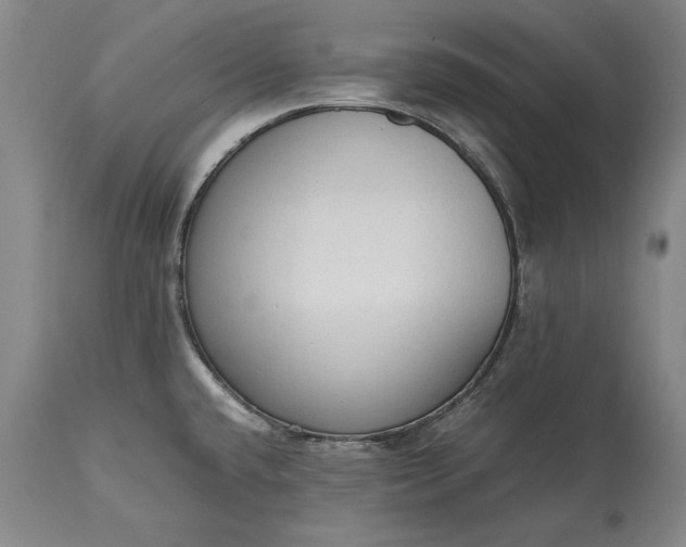 X0000115441432200911181513