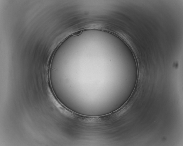 X0000115441434200911181513