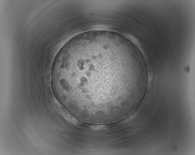 X0000115441435200911181513