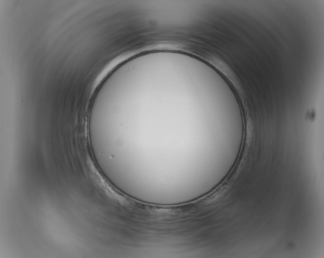 X0000115441436200911181513