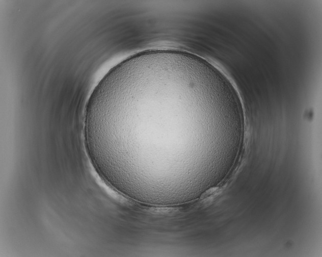 X0000115441437200911181513