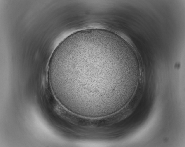 X0000115441439200911181513