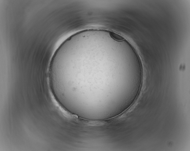 X0000115441440200911181513
