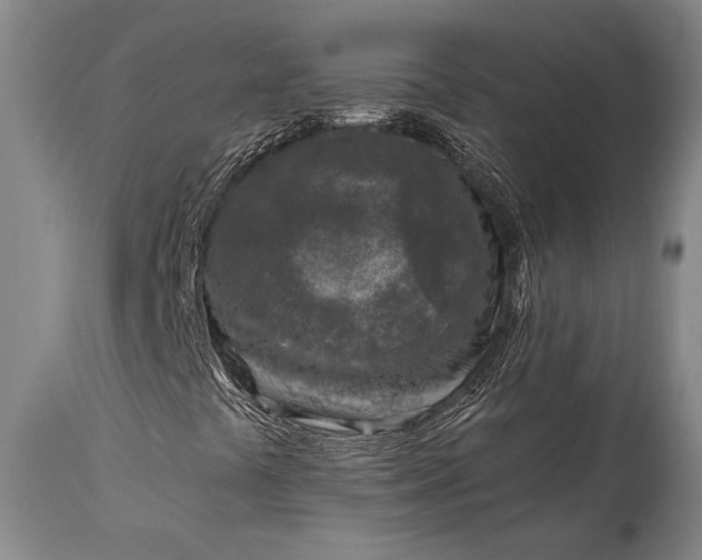 X0000115441441200911181512