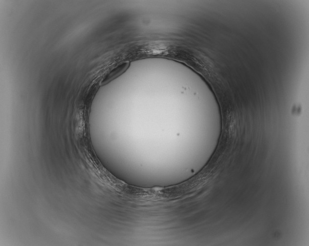 X0000115441442200911181512