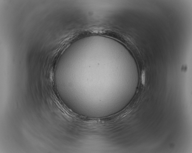 X0000115441444200911181512