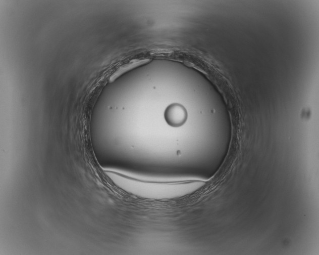 X0000115441445200911181512